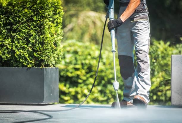 Best Pool Deck Cleaning  in Cobb Island, MD