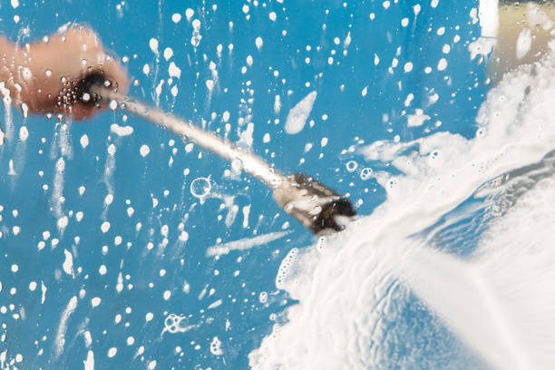 Best Animal Enclosure Cleaning  in Cobb Island, MD
