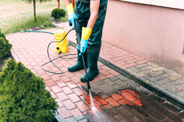 Best Building Exterior Washing  in Cobb Island, MD