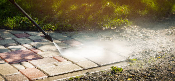 Best Solar Panel Cleaning  in Cobb Island, MD